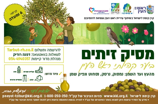 תמונת מופע: מסיק זיתים